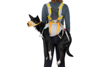 Ruffwear BackTrak Dog Evacuation Kit